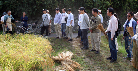 雄町米収穫祭
